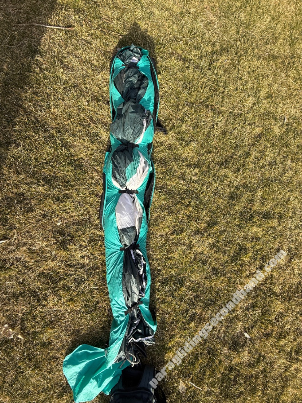 Flare Moustache, 18, 2024, (0-120kg), 36h