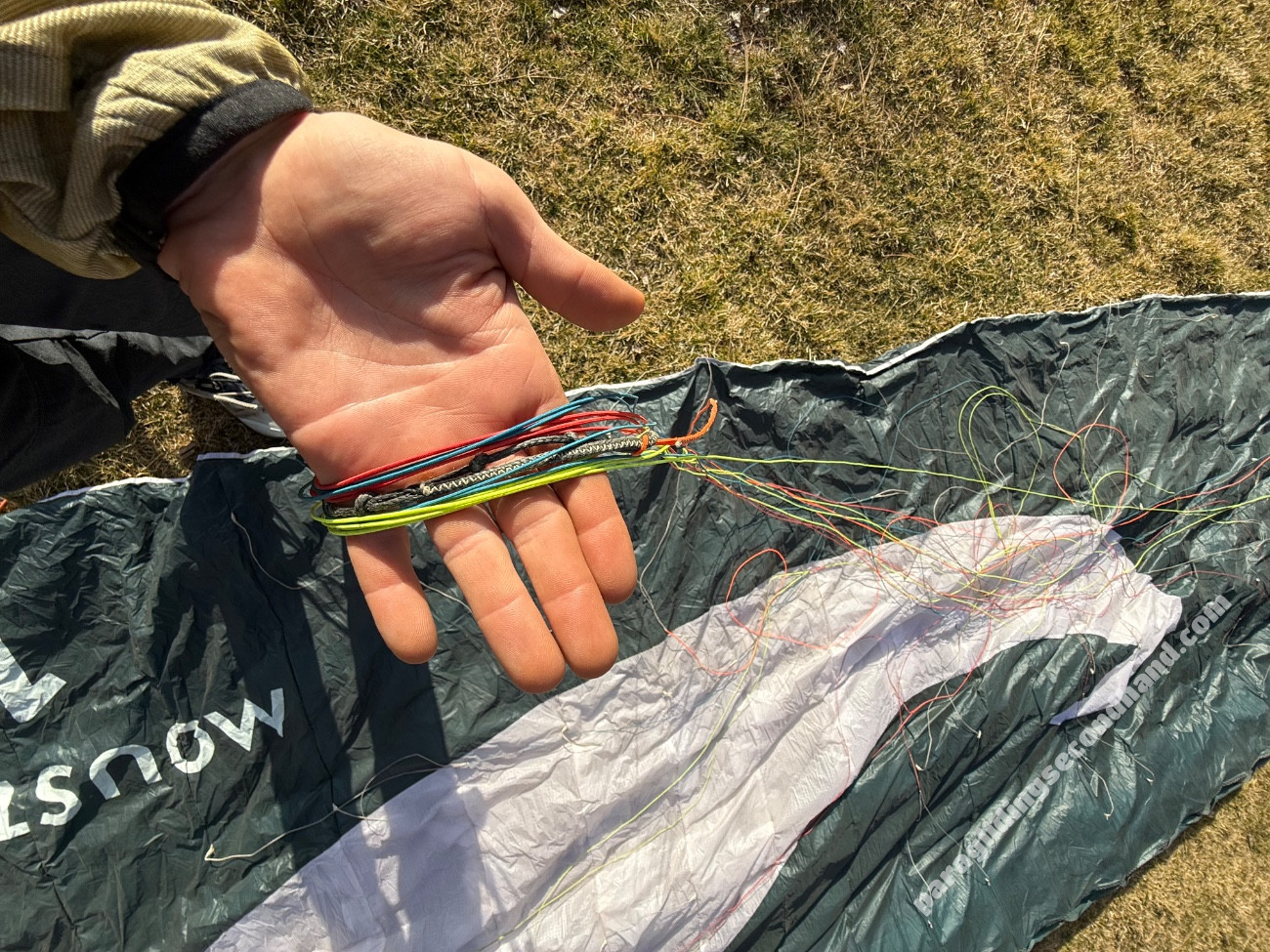 Flare Moustache, 18, 2024, (0-120kg), 36h