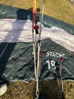 Flare Moustache, 18, 2024, (0-120kg), 36h