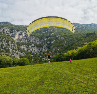 Triple Seven 777 Pawn, M, 2014, (65-80kg), 70h