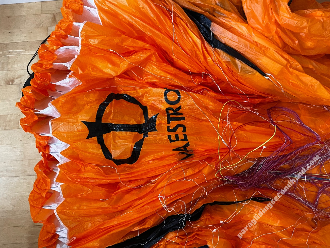 Phi Maestro 2, 23, 2023, (90-115kg), 20h