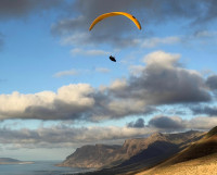 Salvador Medina Profile Picture