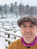 Rui Pereira