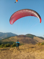 Fornaro Agostino Profile Picture