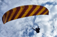 Leo Fill Profile Picture