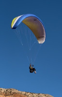 Shannon Long Profile Picture