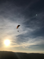 Pulin P Profile Picture