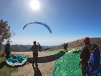 Wind Zsolt