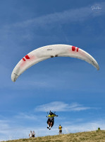 Davide Polcini