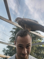 Nicolò Rossi