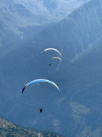 Pierre Weisk Profile Picture