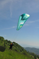 Fabio Santolin Profile Picture