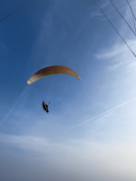 Emanuele Canal Profile Picture