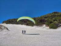 Annicia Kitching Profile Picture