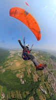 Piotr Haltman Profile Picture