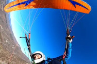 Francesco D'amico Profile Picture