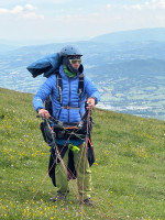 Nicola Pigliapoco Profile Picture