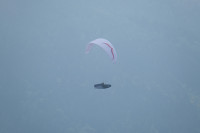 Martin Gruber Profile Picture