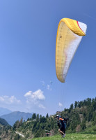 Nicola Buffa Profile Picture