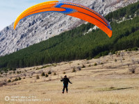 Dimitar Mihaylov Profile Picture