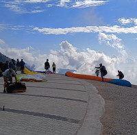 Mohammed El Amine Profile Picture