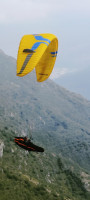 Iacopo Boccalari Profile Picture