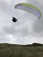 Paul Wessiack Profile Picture