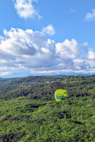 Aleš Kosovel Profile Picture