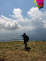 Leonardo Dall'oglio Profile Picture