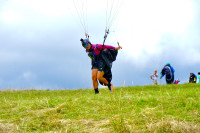 Domiziano Cianci Profile Picture