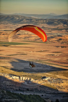 Juan Antonio Profile Picture