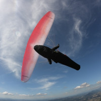 Walter Stucki Profile Picture